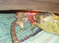 baby #1-39gm.jpg