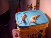 imag0046.jpg