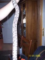 monster resized6.jpg