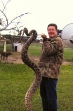 rattlesnake.JPG