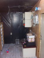 Snakehouse#6.jpg
