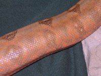 a14april2006 009.jpg