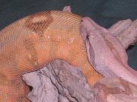 a14april2006 027.jpg