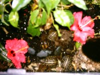 imag0047.jpg