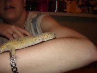 Picture 004.jpg
