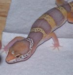 000_0123-croped (Small).jpg
