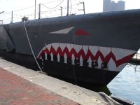 sharkship.jpg