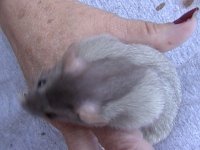 dsc00113.jpg