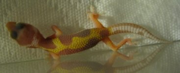 IMG_0722.JPG