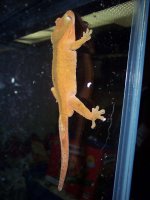 100_2941.jpg
