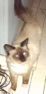 boots01.jpg