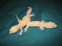 img_0448.jpg