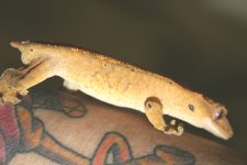 IMG_0666.JPG