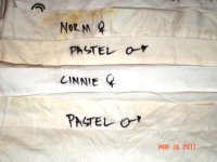 pillow case 1.JPG
