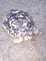 100_4040.jpg