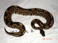 suphetghostm760.JPG