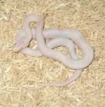 2010JunePics 042.jpg