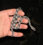 AxSubocs2010 006.jpg