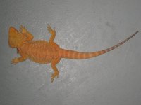 IMG_8270.JPG