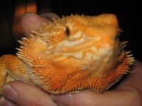 IMG_8267.JPG
