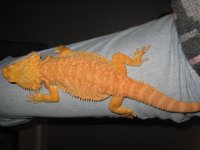IMG_8263.JPG