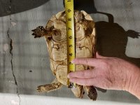 20190830_100357.jpg