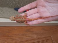 20190714_124658.jpg