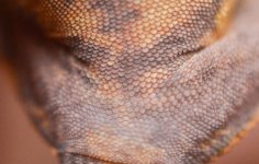pictures-19.jpg