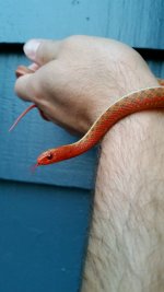 20170726_203844.jpg