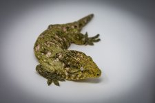 DSC_0037.jpg