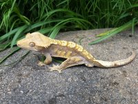 20190615_170351.jpg