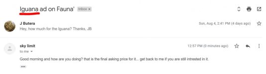 scam.jpg