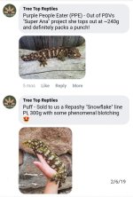 Screenshot_20190917-110027_Gallery.jpg