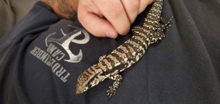 20190925_212733.jpg
