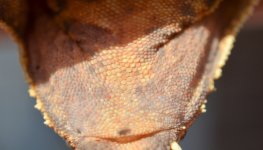 pictures-11.jpg