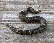 0BE27505-7F06-4EF9-AA65-31EB5F5F9F6C.jpg