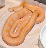 DSC_6197.jpg