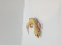 20190410_153613.jpg