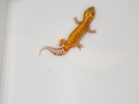 20190410_153256.jpg