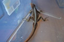 DSC_0108.jpg