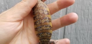20190616_094629.jpg
