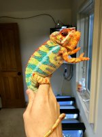 fullsizeoutput_67a.jpg