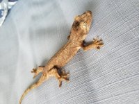 20190728_102725.jpg