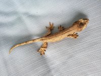 20190728_102743.jpg
