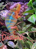 IMG_1517.jpg