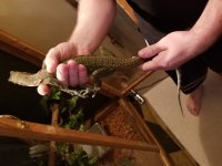 20190915_201910.jpg