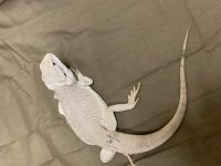 IMG_1475.jpg