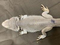 IMG_1479.jpg