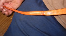 DSCN0078.jpg