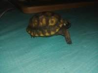 20190831_184608.jpg
